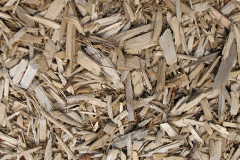 biomass boilers Paddolgreen